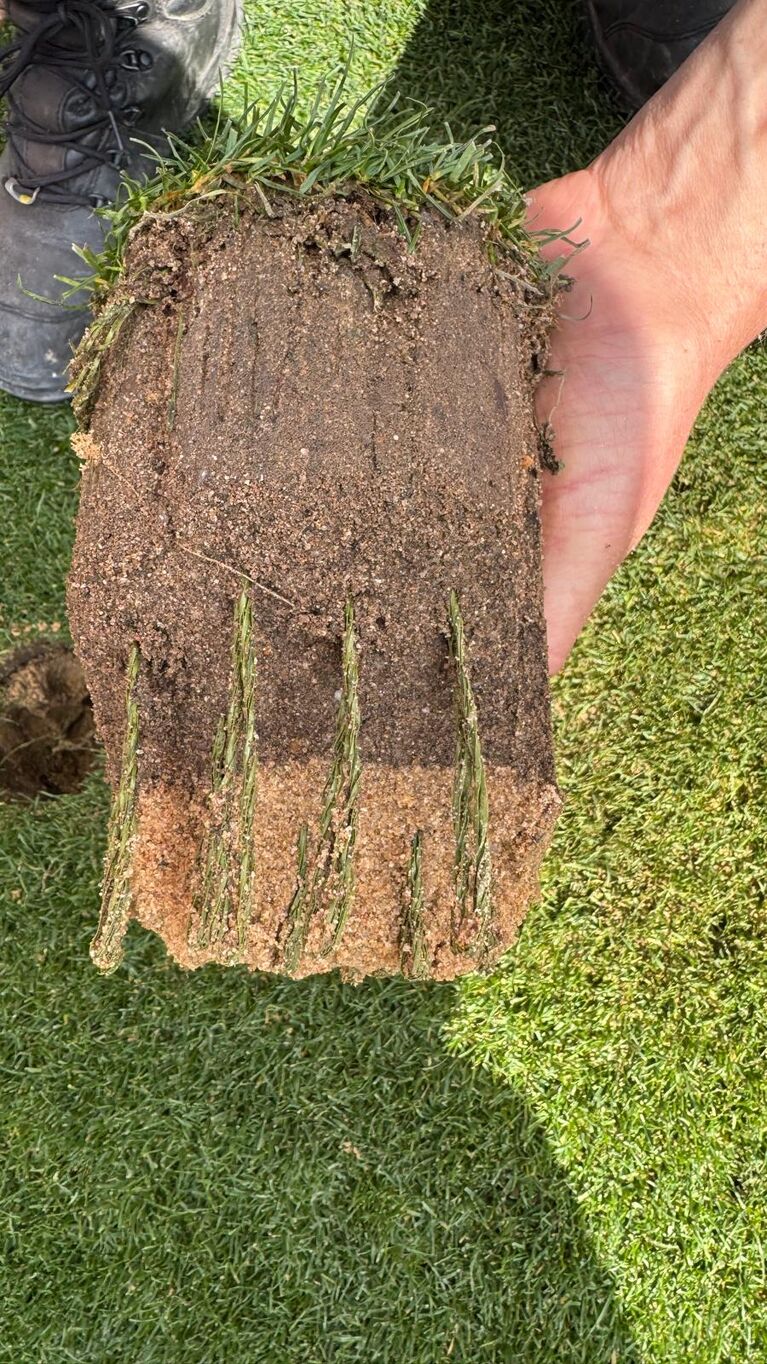 Hand hält zylindrische Bodenprobe mit Grasbewuchs und Wurzelschicht (KI-generiert)