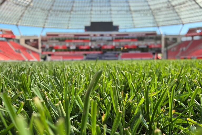 Nahaufnahme einer kurz geschnittenen Rasenfläche mit feinen Grashalmen, unscharfer Stadionhintergrund mit roten Tribünenbereichen (KI-generiert)
