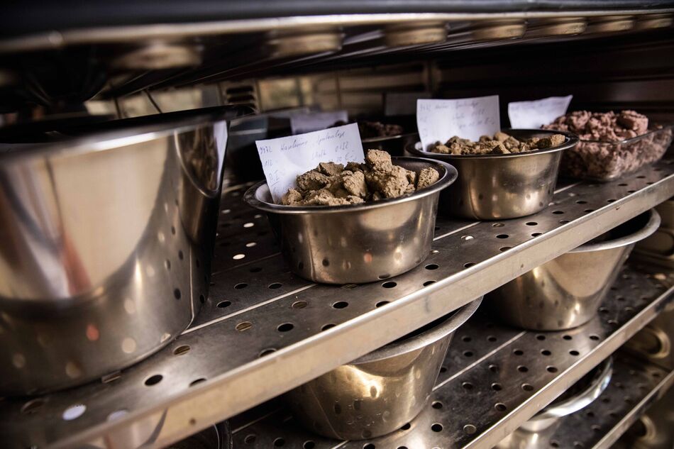 Metallschalen mit granulierten Bodenproben und beschrifteten Etiketten auf einem Lochblechregal (KI-generiert)